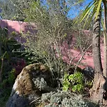 Bed & Breakfast Altavista 4*