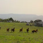 Altavista 4* Vitorino dos Piães