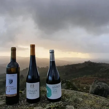 Altavista 4* Vitorino dos Piães