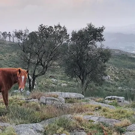 Bed & Breakfast Altavista 4*