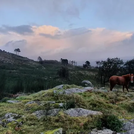 Bed & Breakfast Altavista 4*