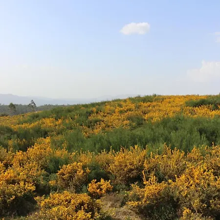 Altavista 4* Vitorino dos Piães