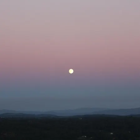 Altavista