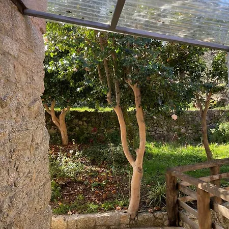 Altavista Vitorino dos Piães