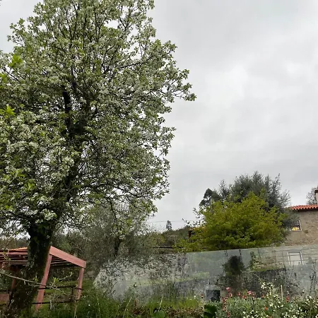 Altavista Bed & Breakfast Vitorino dos Piães