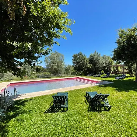 Altavista 4*