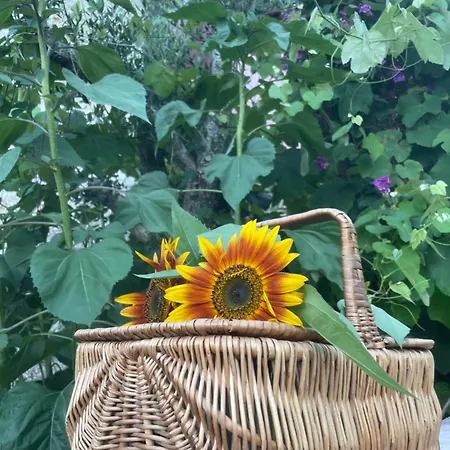 Altavista فندق مبيت وإفطار 4*