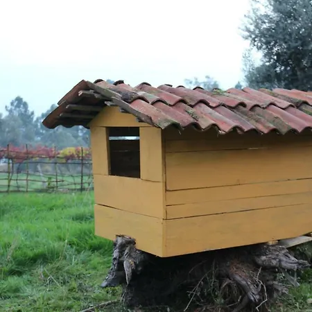 Altavista Vitorino dos Piães