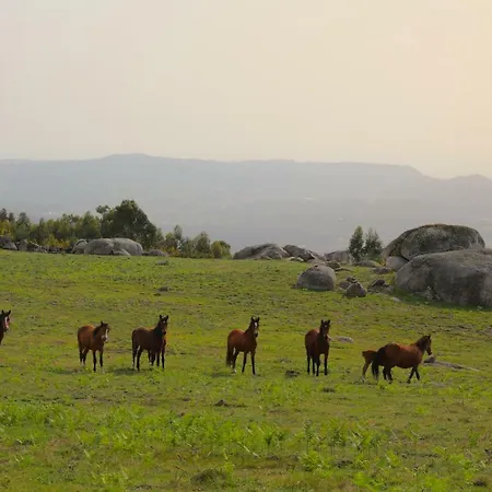 Altavista 4* Vitorino dos Piães