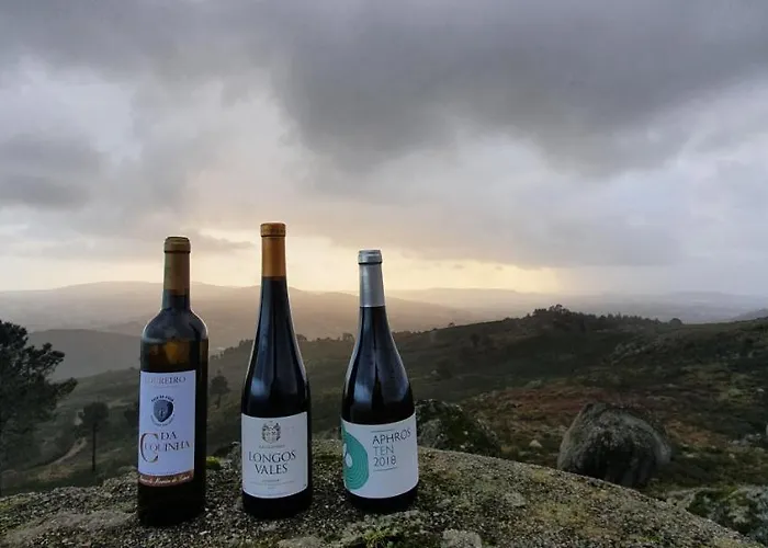 Altavista 4* Vitorino dos Piães