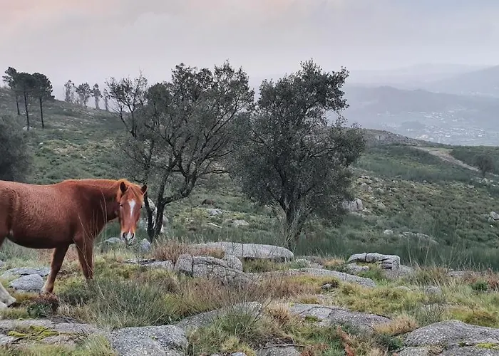 Nocleg ze śniadaniem Altavista 4*