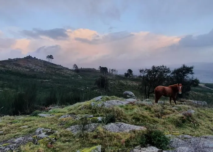 Alojamento de Acomodação e Pequeno-almoço Altavista 4*