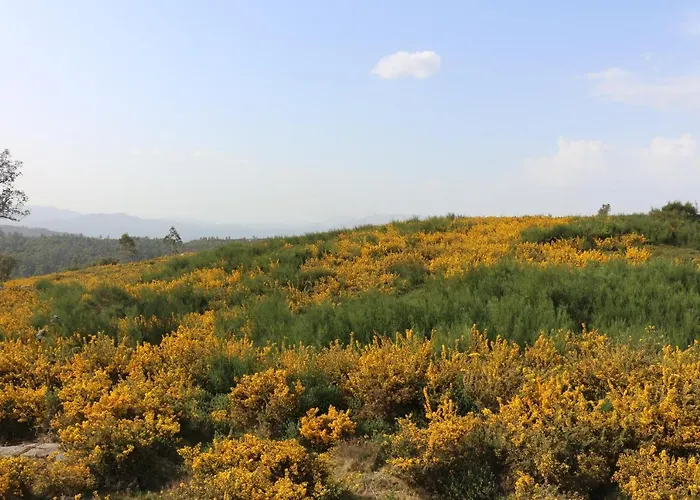 Altavista 4* Vitorino dos Piães