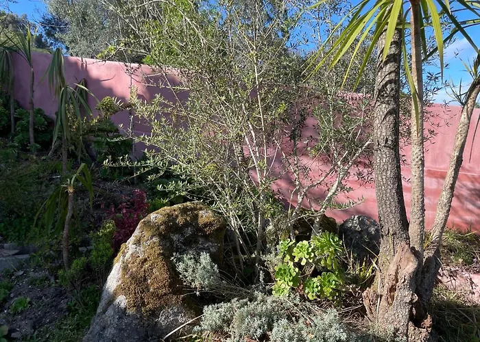 Bed and breakfast Altavista 4*