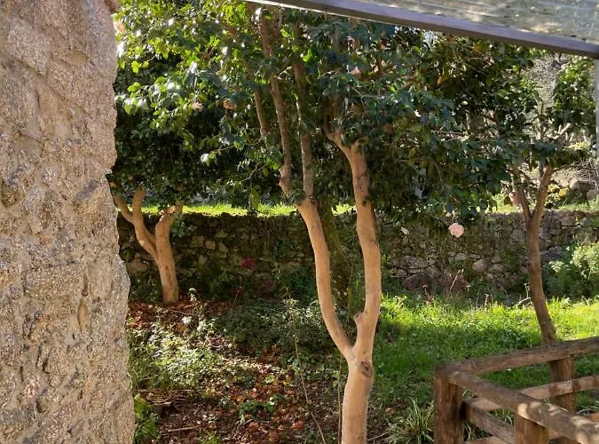 Altavista Vitorino dos Piães