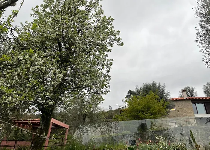 Altavista Bed and breakfast Vitorino dos Piães