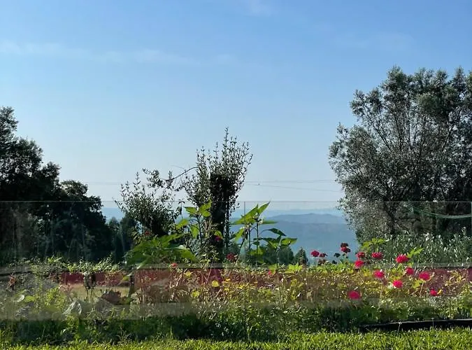 Altavista Bed and breakfast 4*