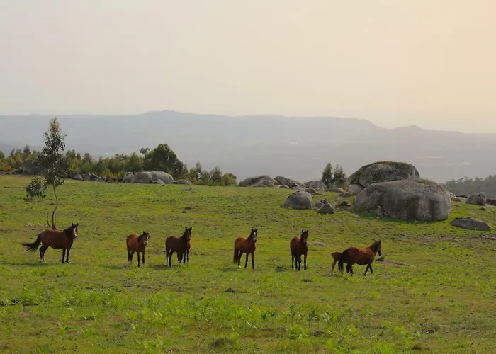 Altavista 4* Vitorino dos Piães